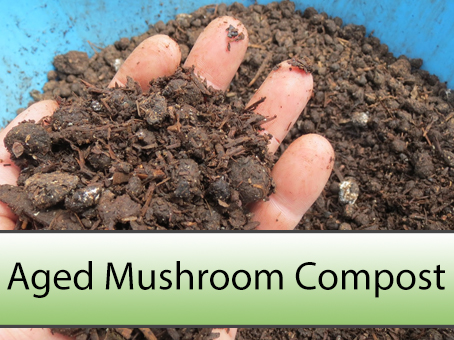 aged mushroom compost